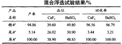 混合浮选试验结果