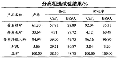 分离粗选试验结果